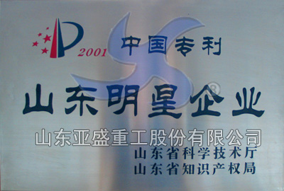 中国专利山东明星企业